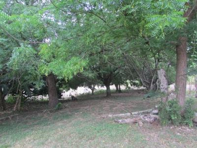 1.5 Hectar lot for sale in Las Uvas de San Carlos - image 3