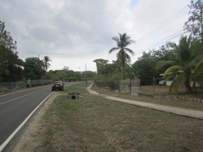 1.5 Hectar lot for sale in Las Uvas de San Carlos - image 9