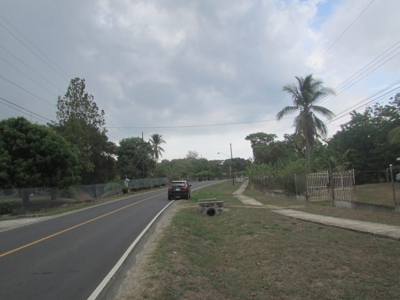 1.5 Hectar lot for sale in Las Uvas de San Carlos - image 8