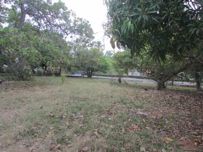 1.5 Hectar lot for sale in Las Uvas de San Carlos - image 2