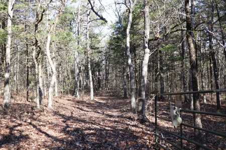 Off Grid Prepper Property For Sale Near Ash Flat Arkansas - image 4