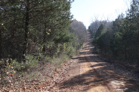 Off Grid Prepper Property For Sale Near Ash Flat Arkansas - image 2