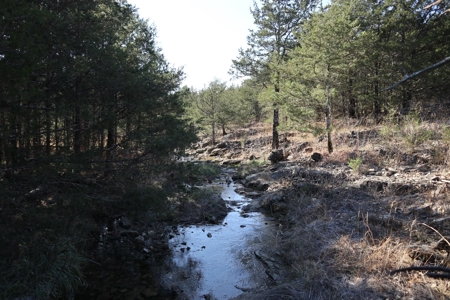 Off Grid Prepper Property For Sale Near Ash Flat Arkansas - image 25