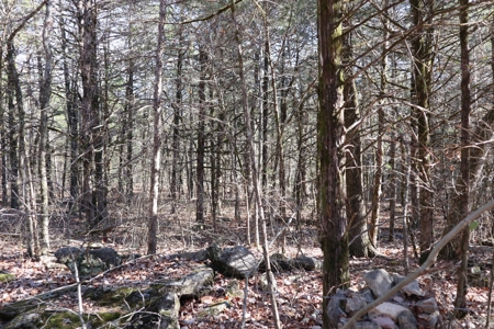 Off Grid Prepper Property For Sale Near Ash Flat Arkansas - image 3