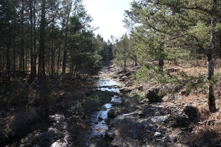 Off Grid Prepper Property For Sale Near Ash Flat Arkansas - image 26