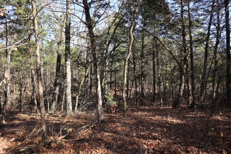 Off Grid Prepper Property For Sale Near Ash Flat Arkansas - image 21