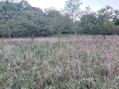 Farm and Hunting Land for Sale in Pulaski County, MO - image 4