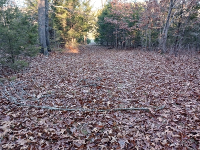 Farm and Hunting Land for Sale in Pulaski County, MO - image 24