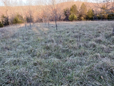 Farm and Hunting Land for Sale in Pulaski County, MO - image 21