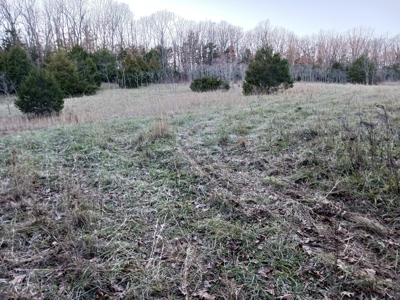 Farm and Hunting Land for Sale in Pulaski County, MO - image 17