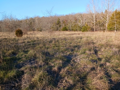 Farm and Hunting Land for Sale in Pulaski County, MO - image 9