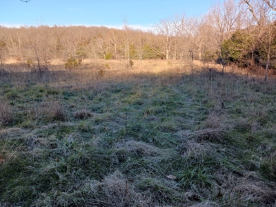Farm and Hunting Land for Sale in Pulaski County, MO - image 6