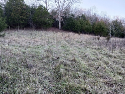 Farm and Hunting Land for Sale in Pulaski County, MO - image 16