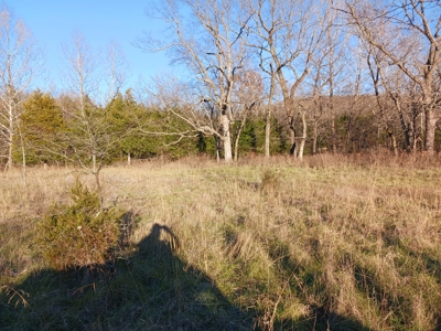 Farm and Hunting Land for Sale in Pulaski County, MO - image 10