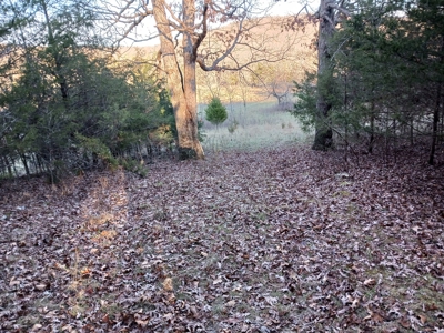 Farm and Hunting Land for Sale in Pulaski County, MO - image 5