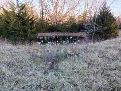 Farm and Hunting Land for Sale in Pulaski County, MO - image 25