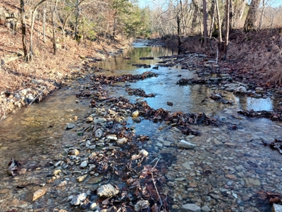 Farm and Hunting Land for Sale in Pulaski County, MO - image 13