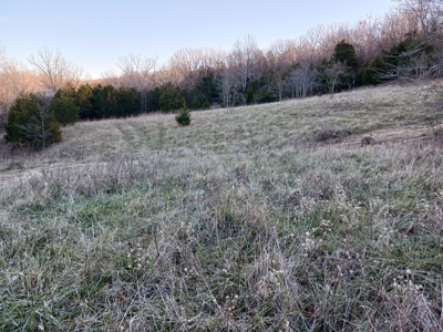 Farm and Hunting Land for Sale in Pulaski County, MO - image 23