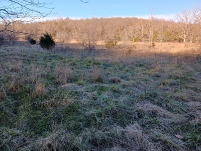Farm and Hunting Land for Sale in Pulaski County, MO - image 7