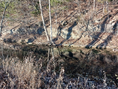 Farm and Hunting Land for Sale in Pulaski County, MO - image 14