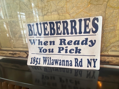 Established Mature Blueberry Producing Farm - image 16