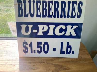 Established Mature Blueberry Producing Farm - image 12