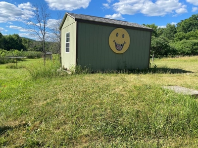 Established Mature Blueberry Producing Farm - image 10