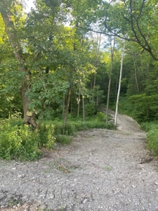 Established Mature Blueberry Producing Farm - image 4