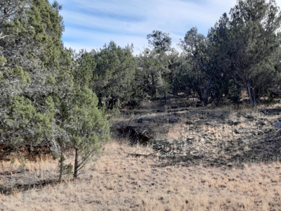 Very Secluded - image 9