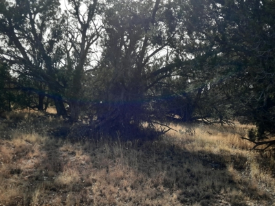Very Secluded - image 7