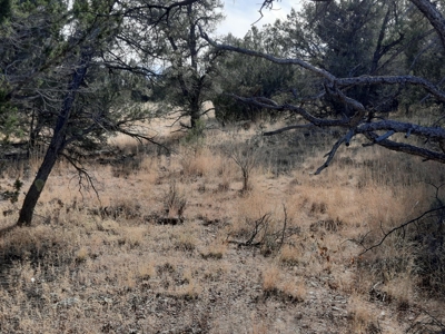 Very Secluded - image 3