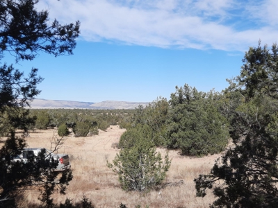 Very Secluded - image 1