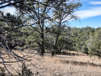 Very Secluded - image 5