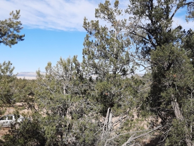 Very Secluded - image 8