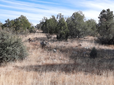 Very Secluded - image 1