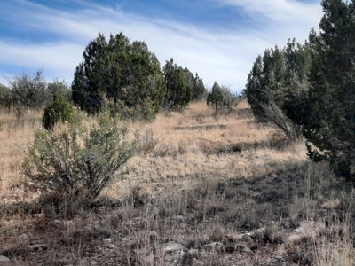 Very Secluded - image 2