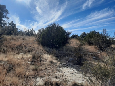 Very Secluded - image 4
