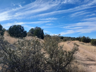 Very Secluded - image 5