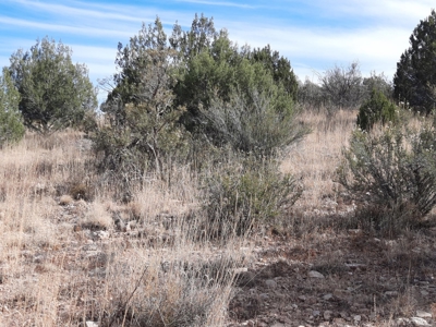 Very Secluded - image 3