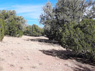 Great Views - image 5