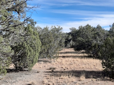 Great Views - image 6