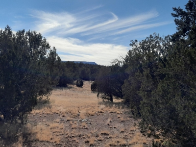 Great Views - image 1