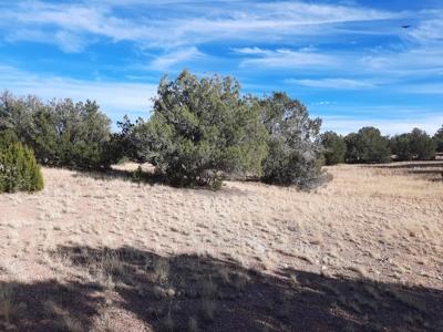 Great Views - image 3