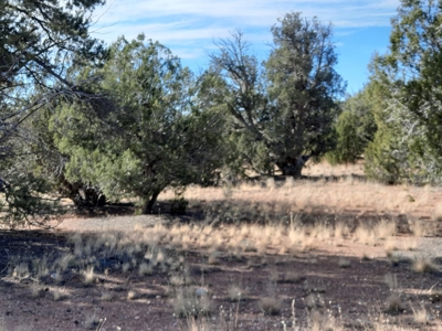 Great Views - image 7