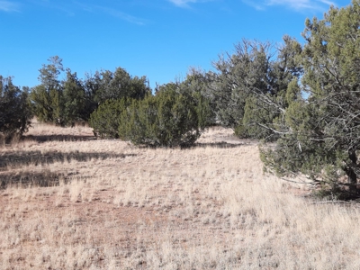 Great Views - image 8