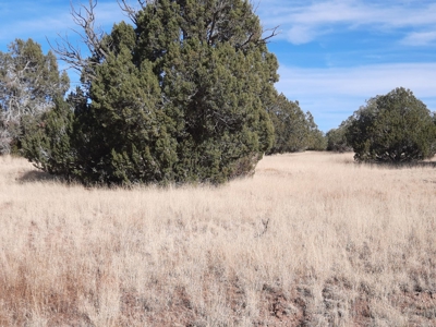 Great Views - image 10