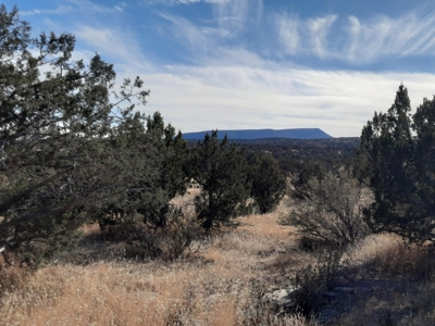 Great Views - image 4
