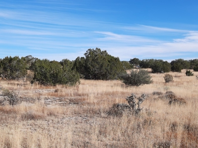 Great Views - image 3