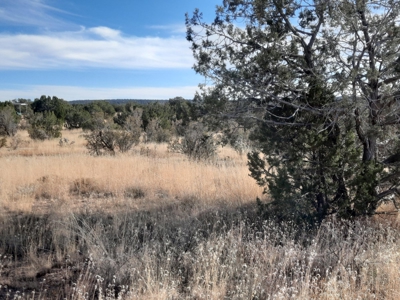 Great Views - image 5