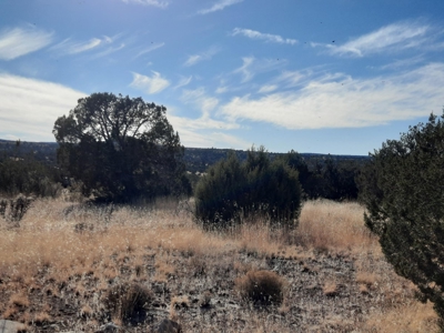 Gorgeous Views - image 5